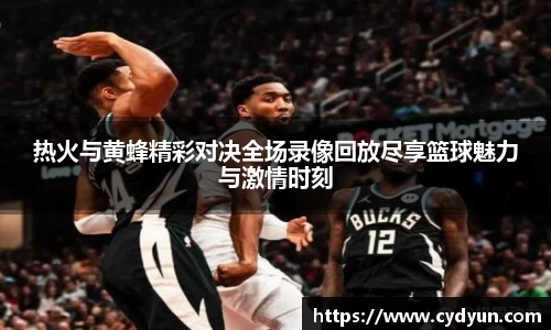热火与黄蜂精彩对决全场录像回放尽享篮球魅力与激情时刻